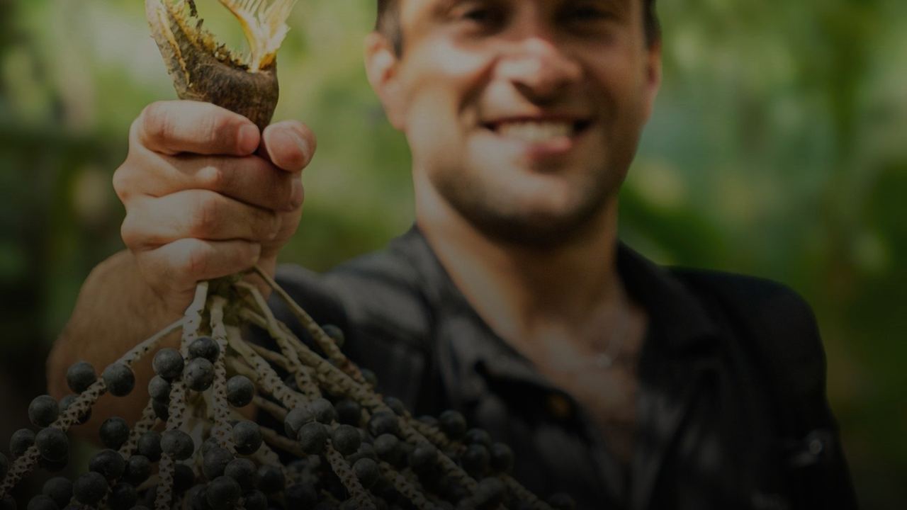 Holding a freshly harvested bunch of açaí